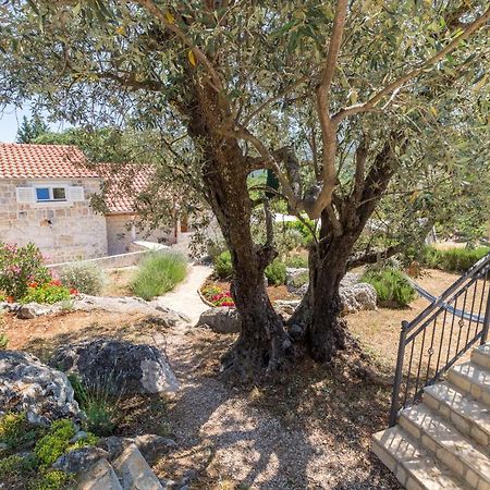 Olive Garden Apartment Ston Buitenkant foto