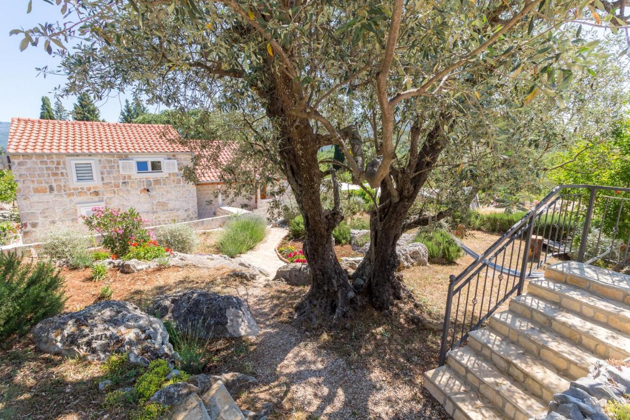 Olive Garden Apartment Ston Buitenkant foto