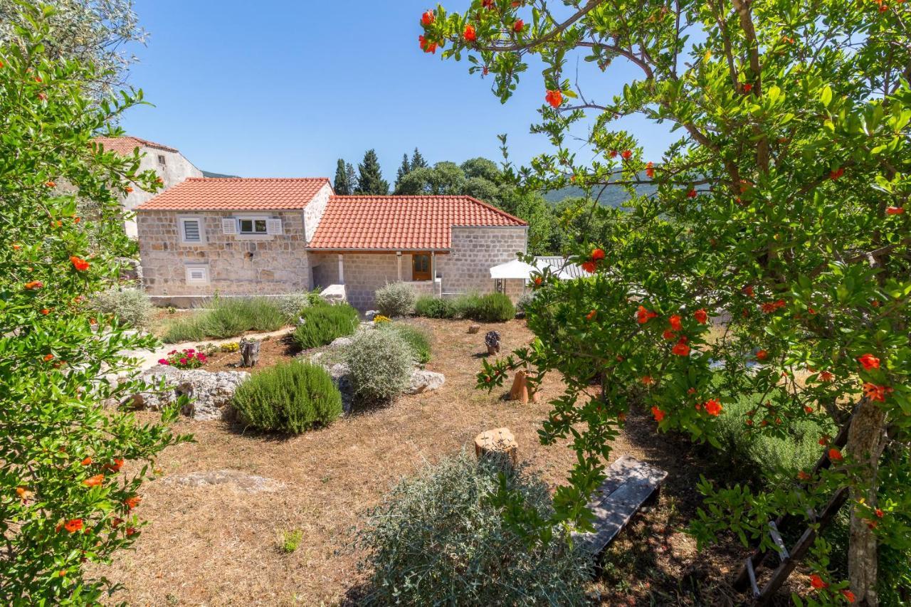 Olive Garden Apartment Ston Buitenkant foto